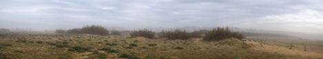 22-Dunes près de Tarnos,
France,2022