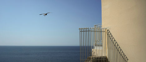 27-Biarritz,France,
2022