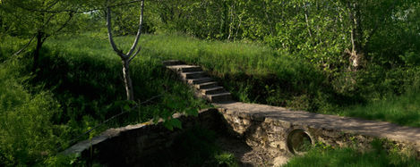 40-Près de Labenne,
France,2022