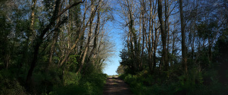 04-Près de Labenne,France,
2019