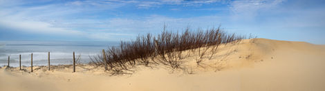 21-Dunes près de Vieux-Boucau-Les-Bains,
France,2023
