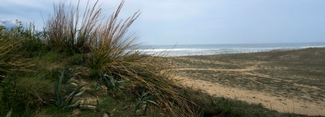 05-Plage de Tarnos,
France,2020