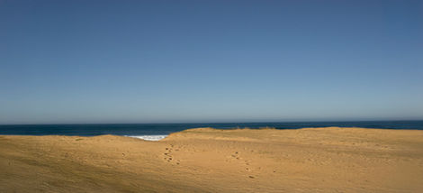 19-Dunes près de Labenne,
France,2021