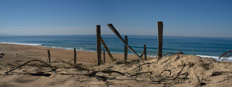 16-Plage de Capbreton,
France,2020