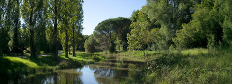 17-Près d'Urt,France,
2022