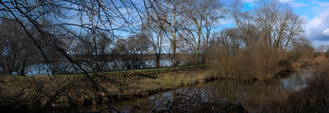 42-Marais d'Orx,Orx,France,
2021