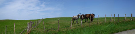 23-Près d'Ainhoa,France,
2022