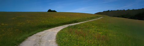 04-Près de St Etienne-de-Baigorry,France,2022