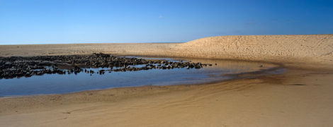 07-Plage d'Huchet,
France,2020
