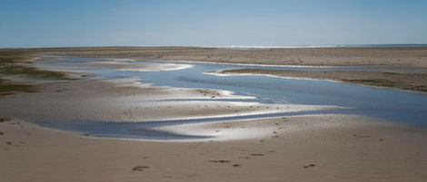 08-Plage de Souston,
France,2020