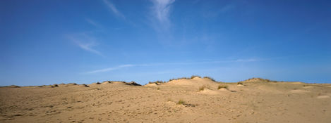 14-Dunes près de Labenne,
France,2020