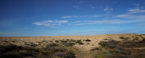13-Dunes près de Capbreton,
France,2020