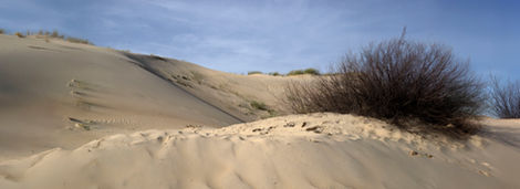 10-Dunes près de Vieux-Boucau-Les-Bains,France,
2022