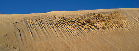 20-Dunes près de Seignosse,
FRance,2021