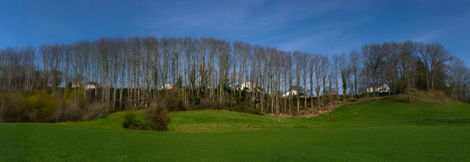 07-Près de St Pée-sur-Nivelle,France,2022