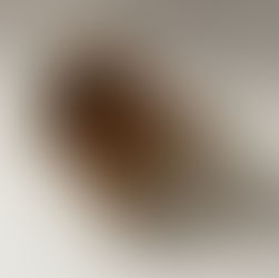 Exploring Porcelain and the Art of Useless Bags