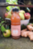 Bio Gala-Most, Apfelsaft mit Ingwer aus der Schweiz – fruchtig, leicht scharf & ohne Zuckerzusatz