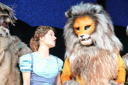 2013-(061)-1259-Spiel