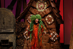 2016-013660-MBS Probe2