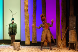 2016-013550-MBS Probe2