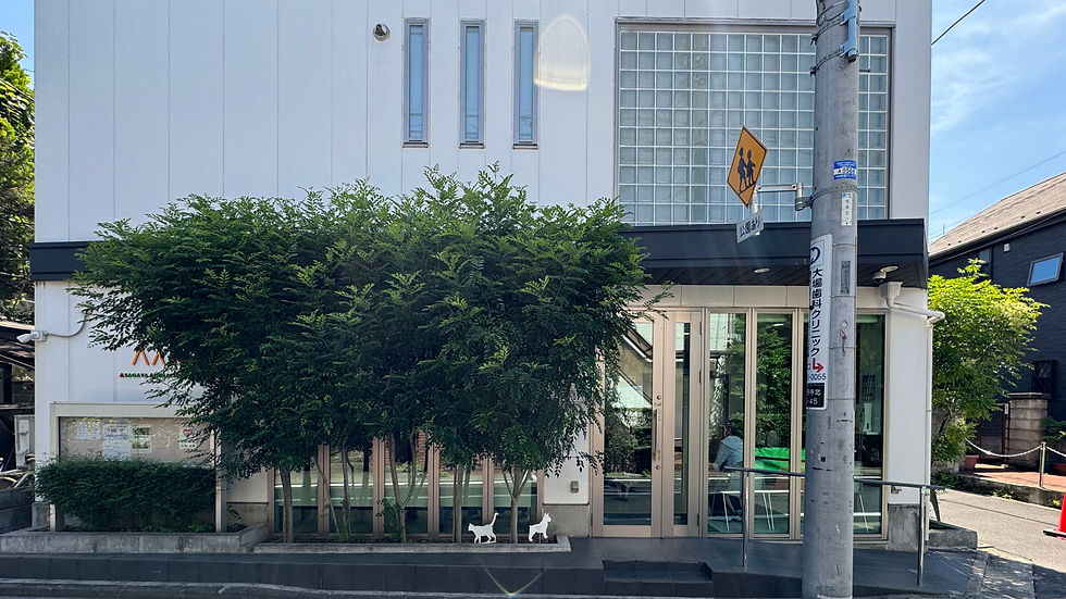 阿佐ヶ谷動物病院