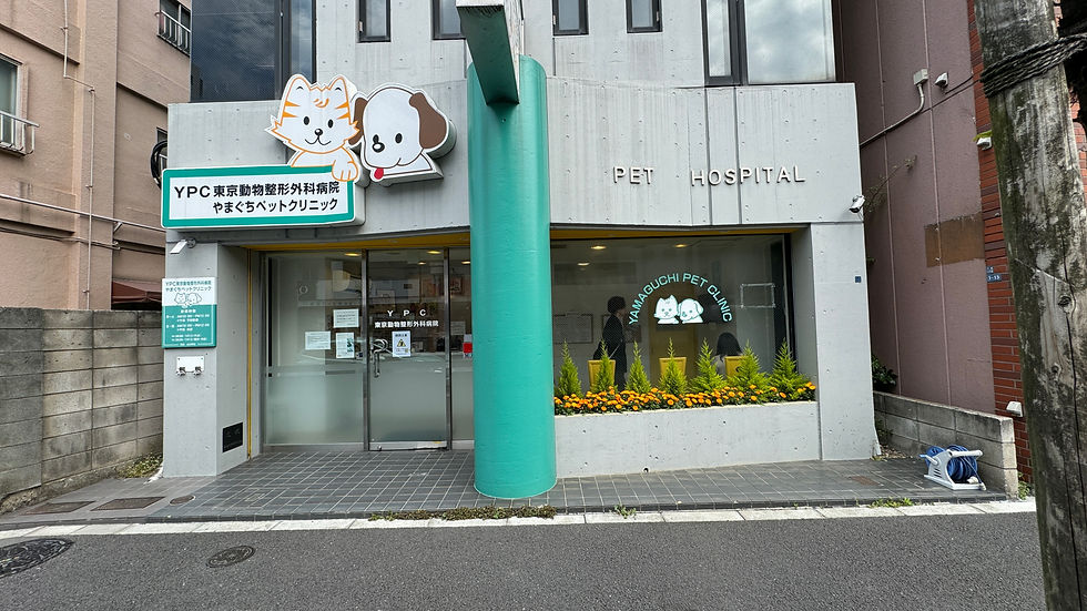 YPC東京動物整形外科病院