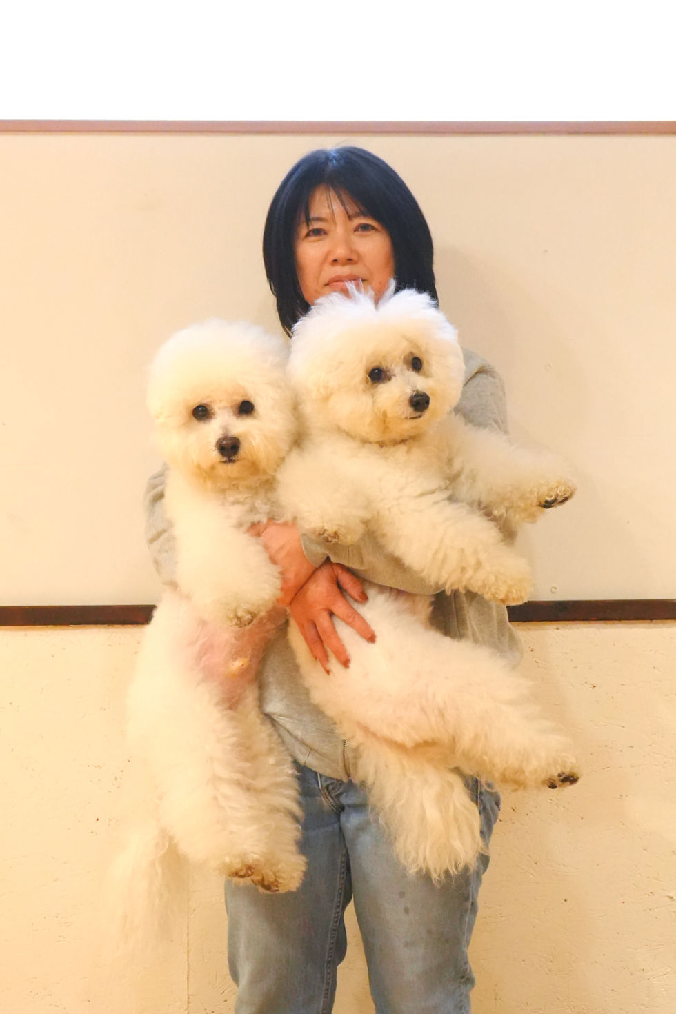 BUDDYS Total Pet Salon