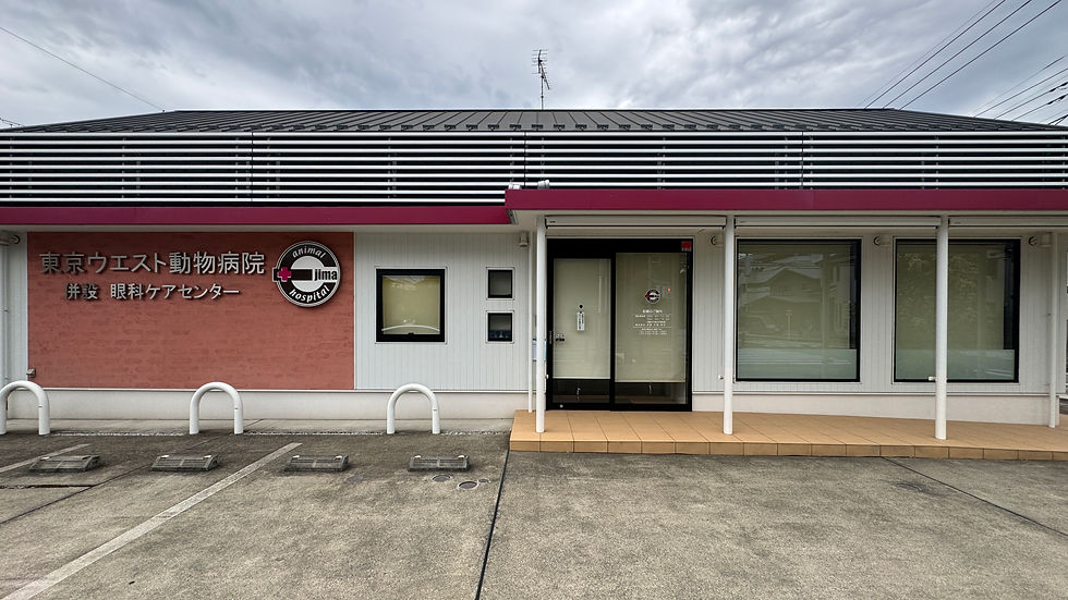 東京ウエスト動物病院