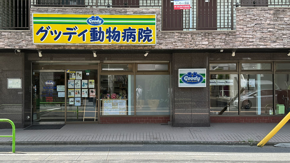 グッディ動物病院