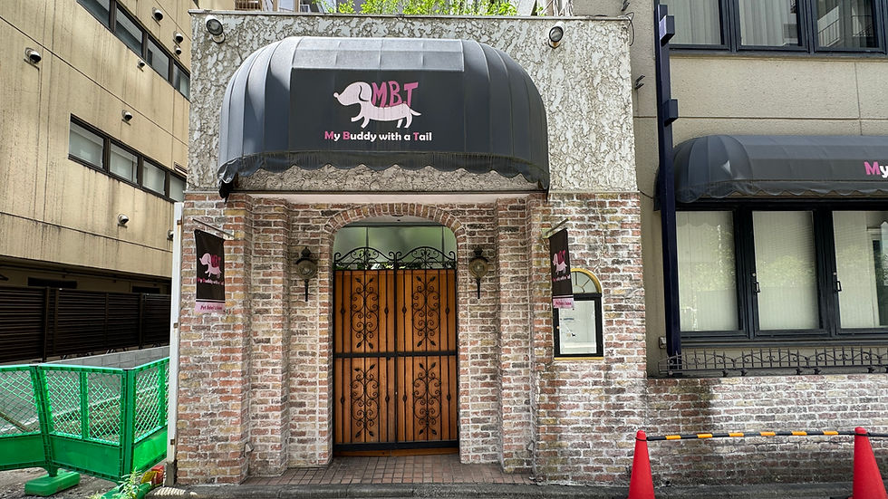 My Buddy with a Tail