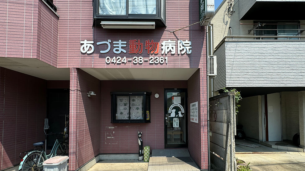 あづま動物病院