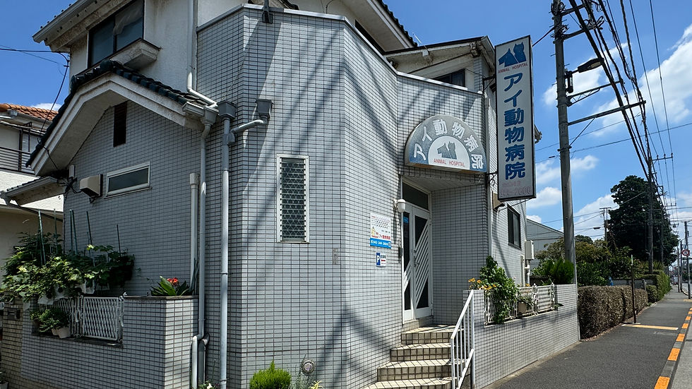 アイ動物病院