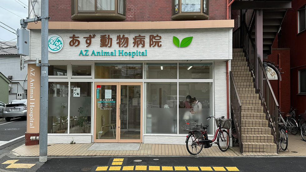 あず動物病院