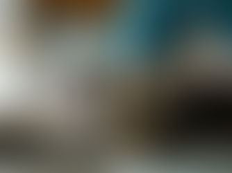 猫の皮膚病の原因