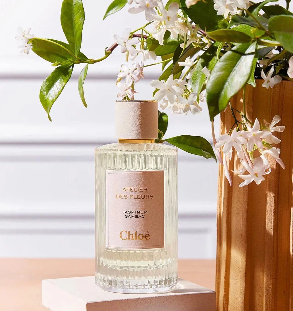 chloé ateliers des fleurs jasminum sambac parfum femme dakar eau de parfum senegal fragance niche sillage classe mermoz shona