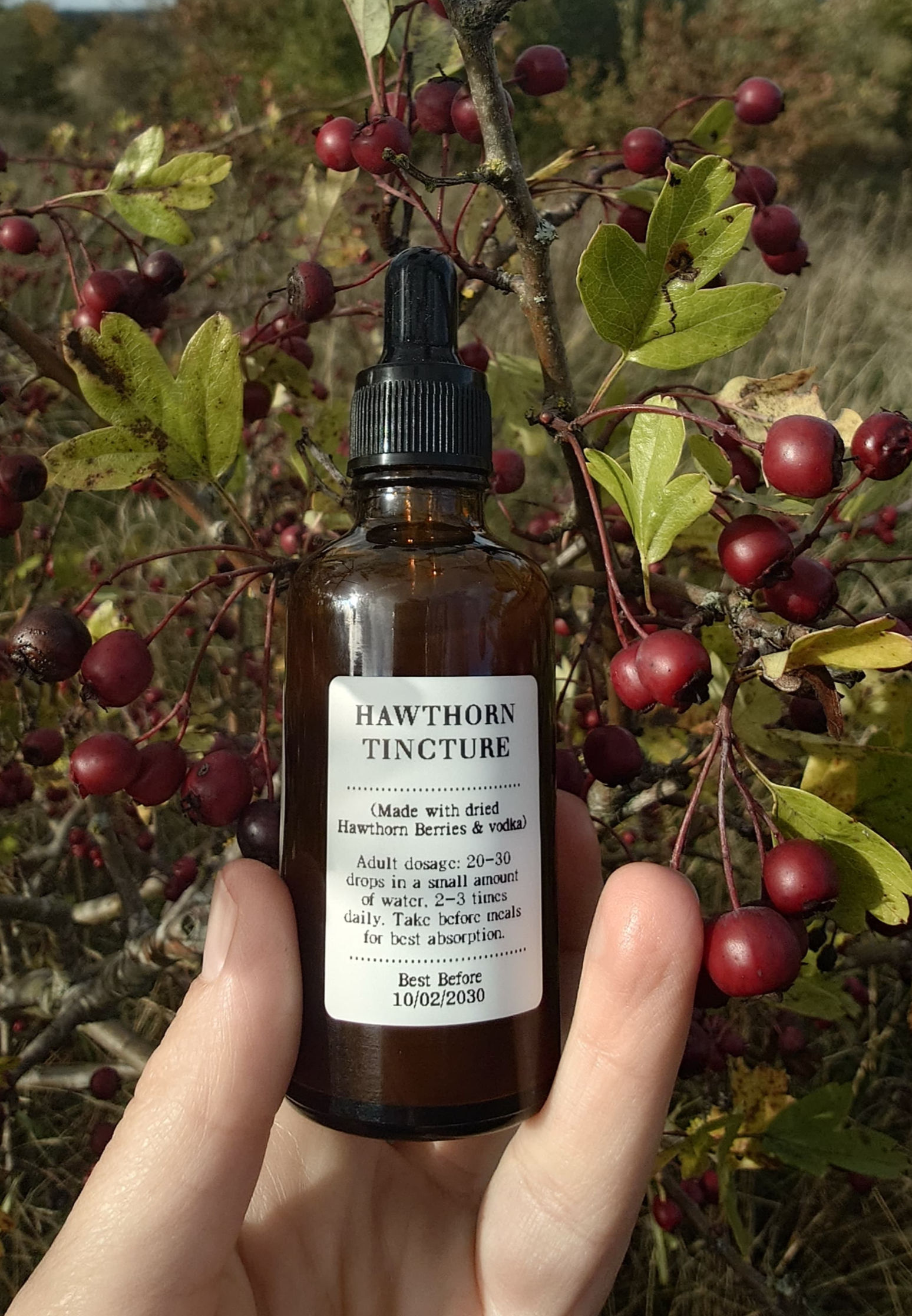 Hawthorn Extract