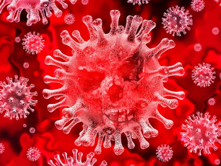 Why should artists and art lovers connect and support each other during the pandemic?