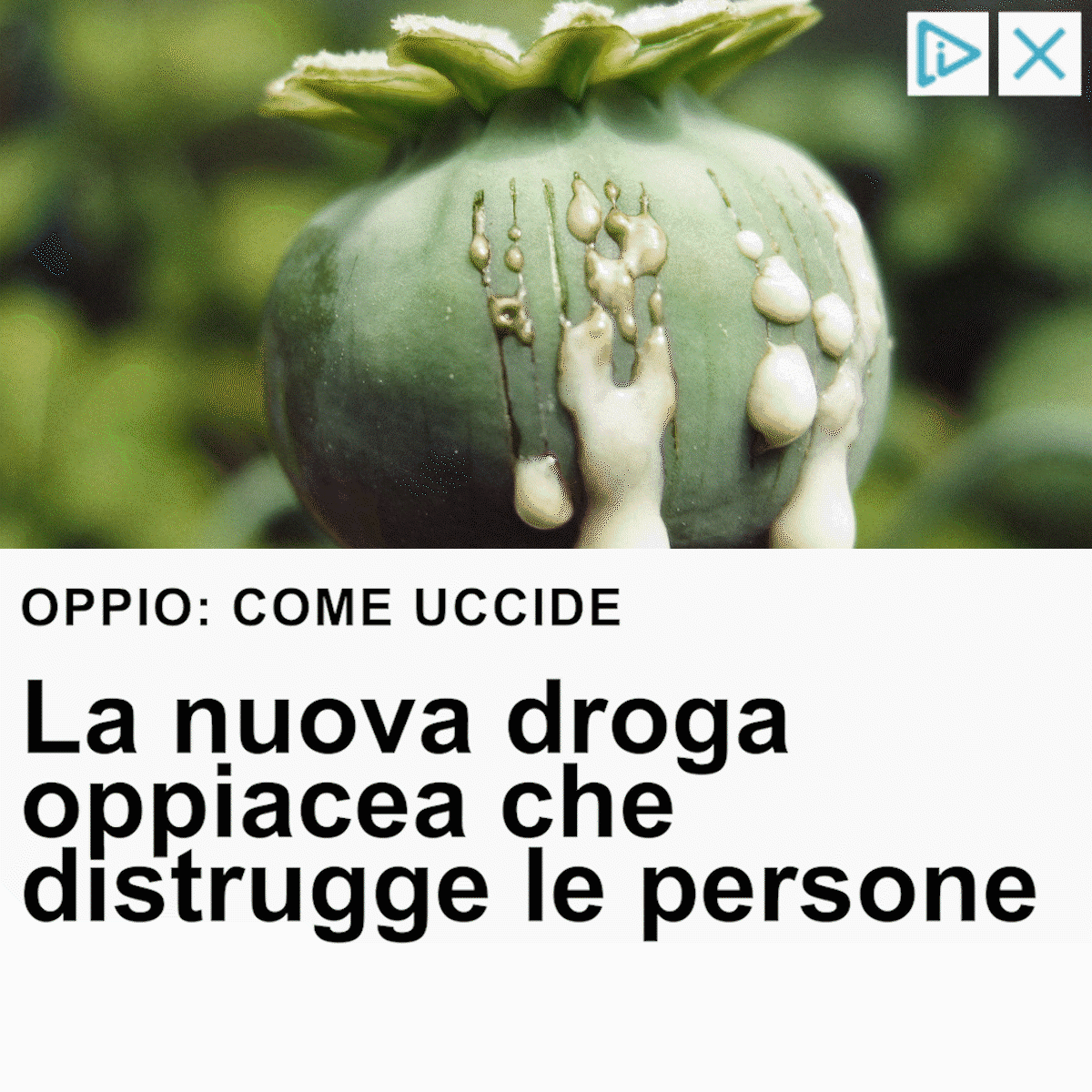 pubbSPAM3 copia.gif