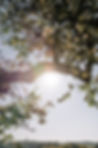 julian-hochgesang-RyPSEns40zs-unsplash.j