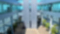 Image%201_edited.jpg