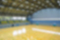 DSC00529_edited.jpg