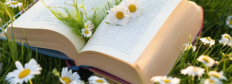 book in grass with daises