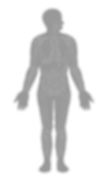 Base Exp-8 (1).png