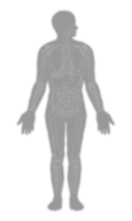 Base Exp-8 (1).png