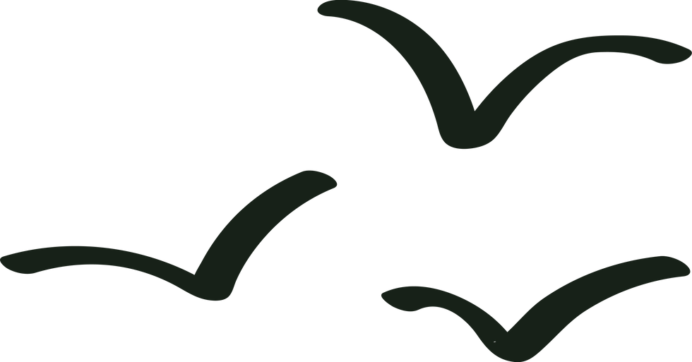 Birds