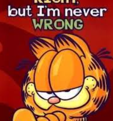 Dvar Torah Matos-Masei 5785 - Being Right is Not Always Right