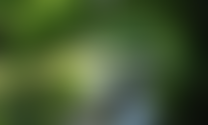 Parshas Shemini 5786 -Paths of Peace