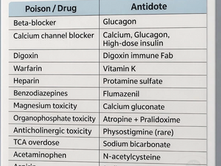 Parshas Emor 5786 - The Antidote