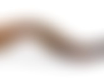 Dvar Torah - Rosh Hashanah 5787 - Remembering the Shofar