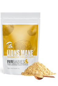 LIONS MANE MUSHROOM POWDER